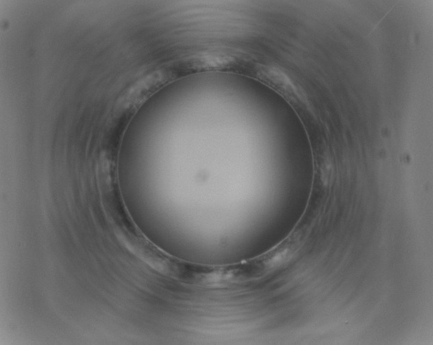 X0000076220366200610122056