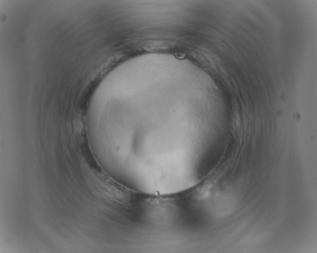 X0000076220367200610122056