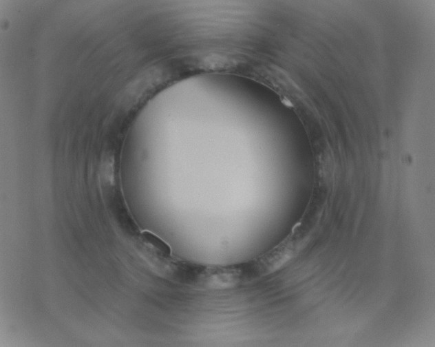 X0000076220368200610122056