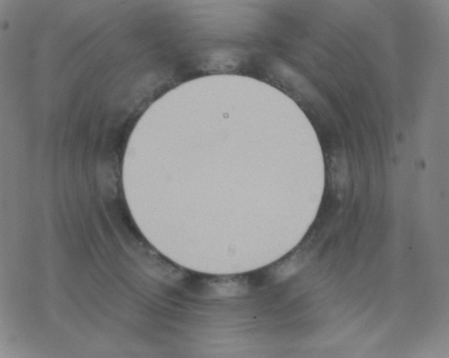 X0000076220370200610122056