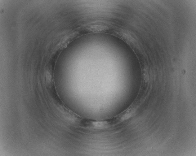 X0000076220371200610122056