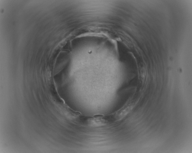 X0000076220372200610122056