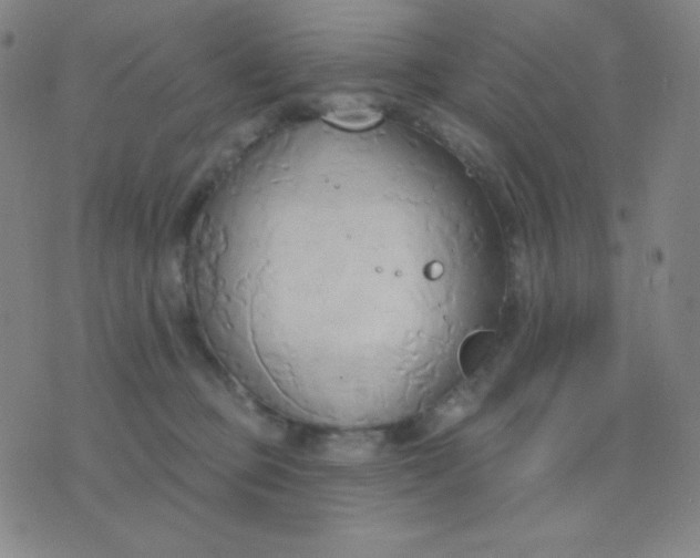 X0000076220373200610122056