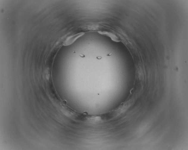 X0000076220374200610122056