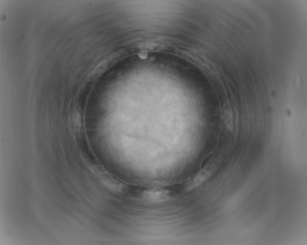 X0000076220375200610122056