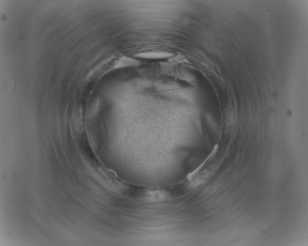 X0000076220376200610122056