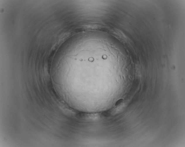 X0000076220377200610122056