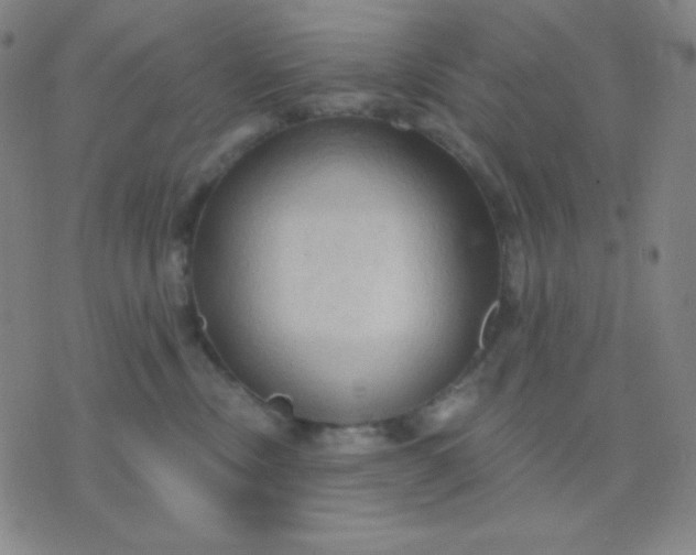 X0000076220378200610122056