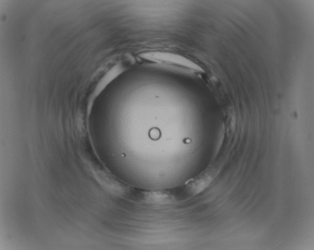 X0000076220380200610122056