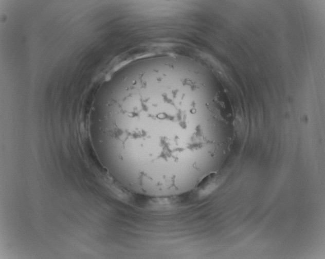 X0000076220381200610122056