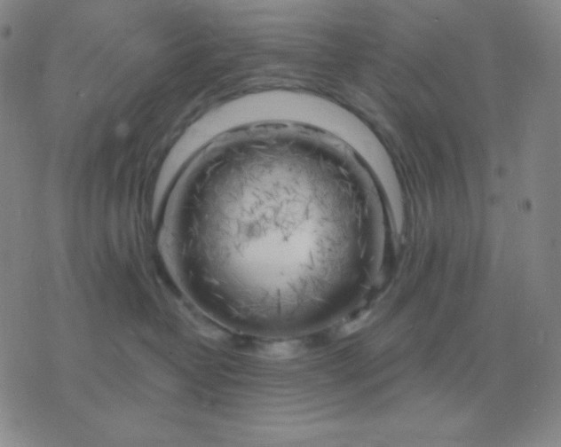 X0000076220382200610122056