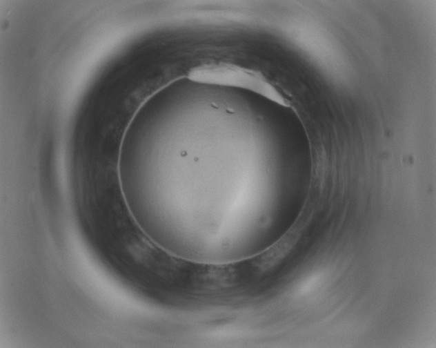 X0000076220383200610122056