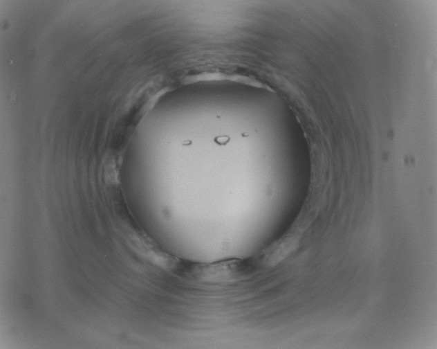 X0000076220384200610122056