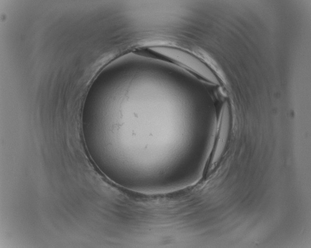 X0000076220385200610122055