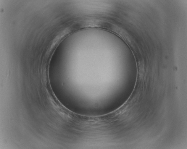 X0000076220386200610122055