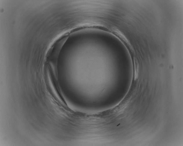 X0000076220387200610122055