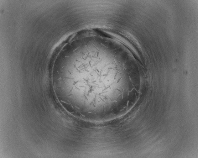 X0000076220388200610122055