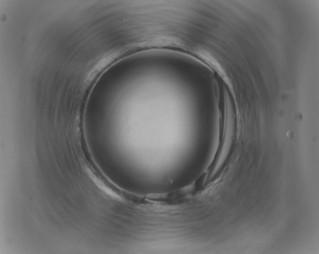 X0000076220389200610122055