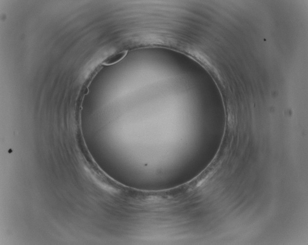 X0000076220390200610122055