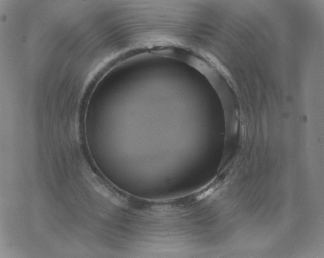 X0000076220391200610122055