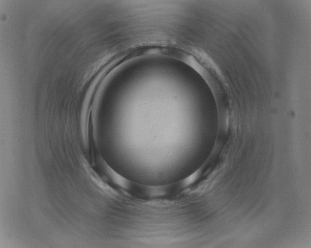 X0000076220393200610122055