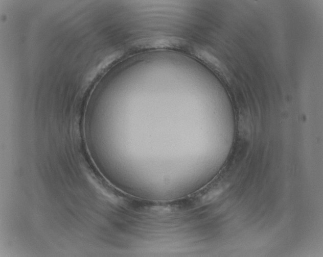 X0000076220394200610122055