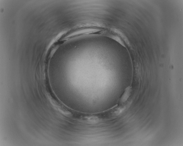 X0000076220395200610122055