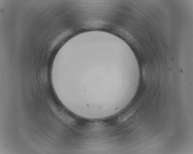 X0000076220396200610122055