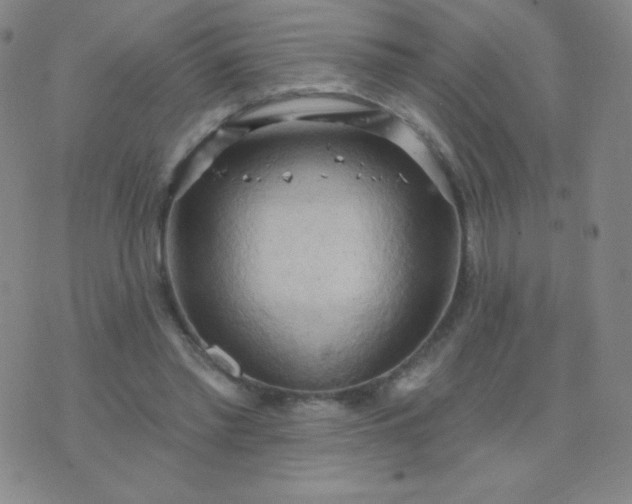 X0000076220397200610122055