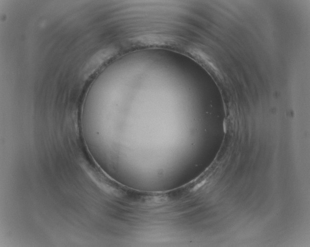 X0000076220398200610122055