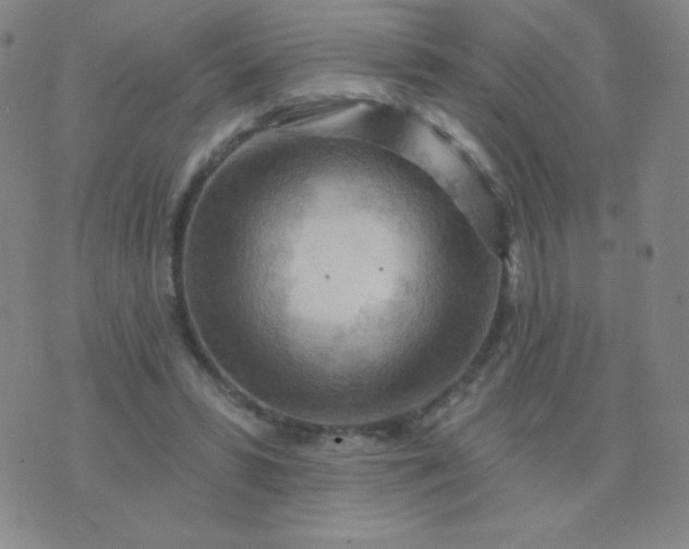 X0000076220399200610122055