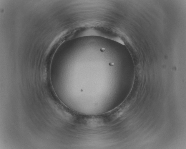 X0000076220400200610122055