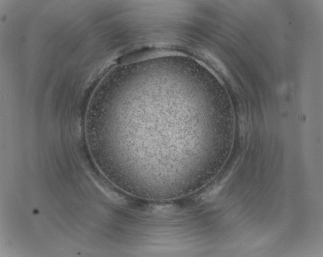 X0000076220401200610122055