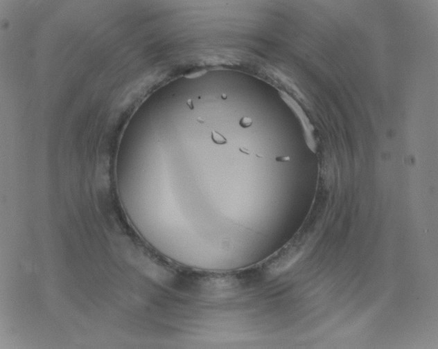 X0000076220402200610122055