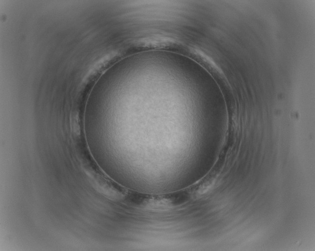 X0000076220403200610122055