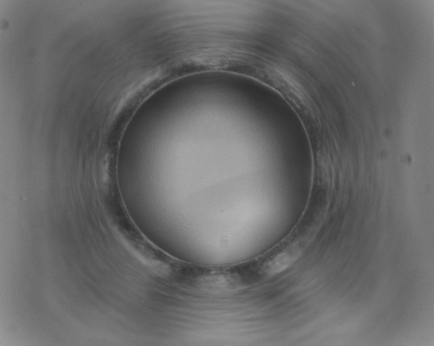 X0000076220404200610122055