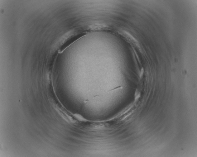 X0000076220405200610122055