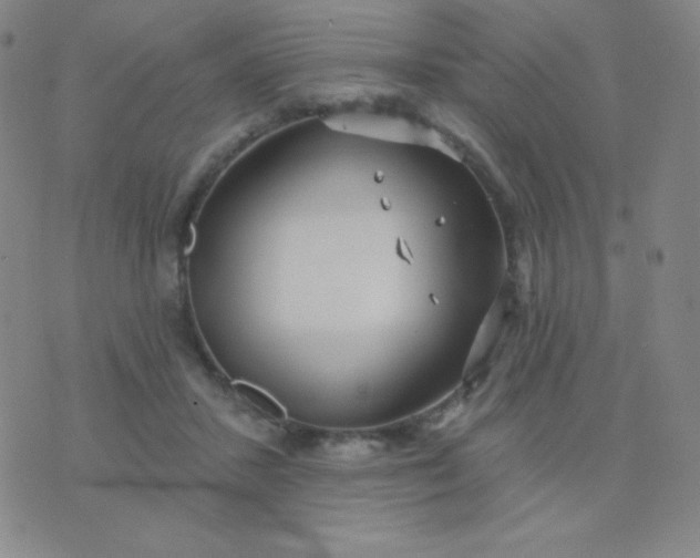 X0000076220407200610122055