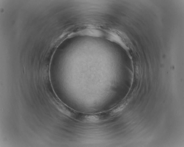 X0000076220409200610122055