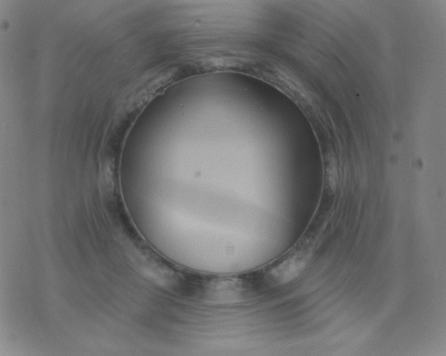 X0000076220410200610122055