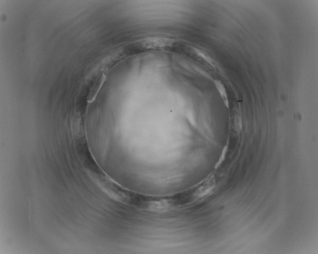 X0000076220411200610122055