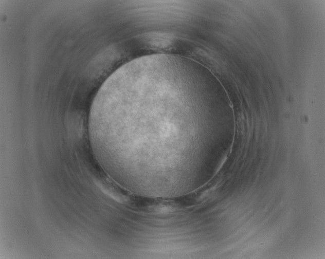 X0000076220412200610122055