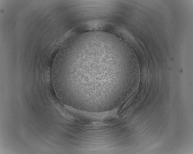 X0000076220413200610122055