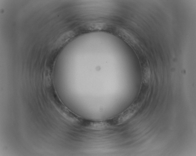 X0000076220414200610122055