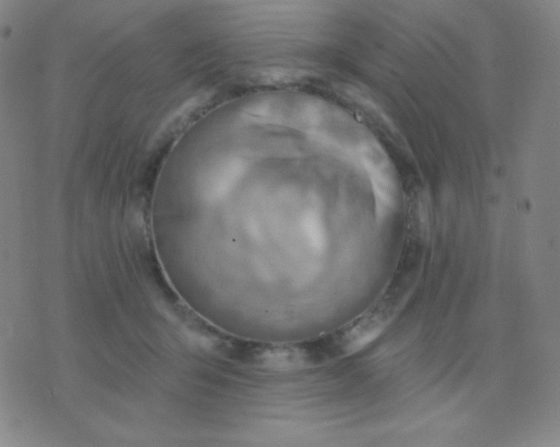 X0000076220415200610122055