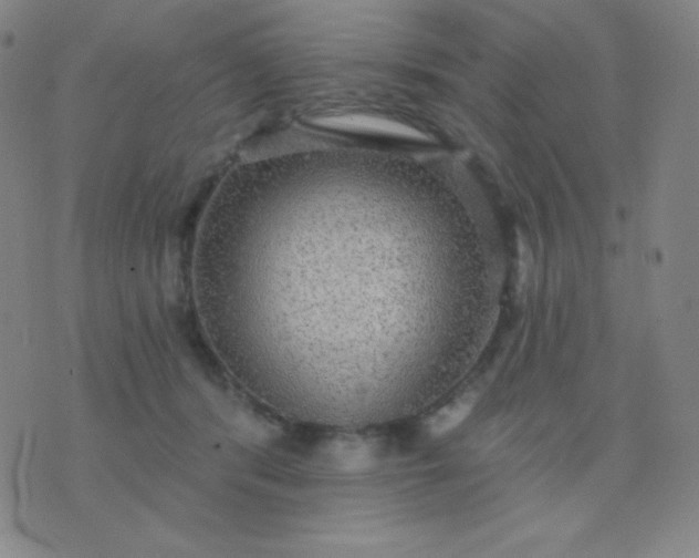 X0000076220416200610122055