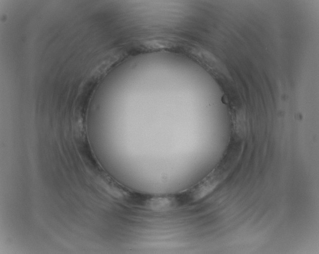 X0000076220418200610122055