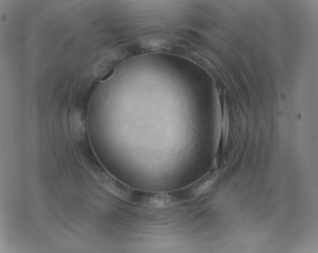 X0000076220420200610122055