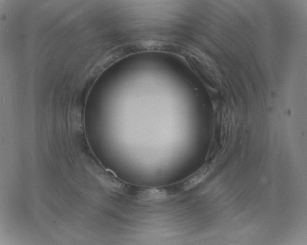 X0000076220421200610122055