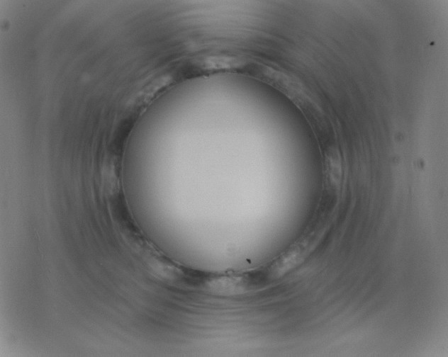 X0000076220422200610122055